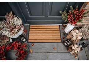Rohožka z kokosového vlákna 45x75 cm Striped – Hanse Home