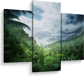 Obraz - Seychelská jungle (90x60 cm)