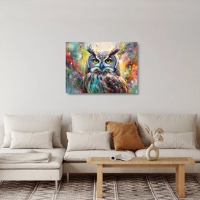 Sklenený obraz - Maľba sovy (70x50 cm)