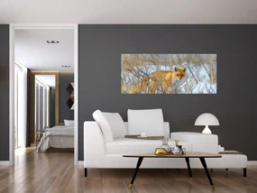 Obraz - Lišiak (120x50 cm)