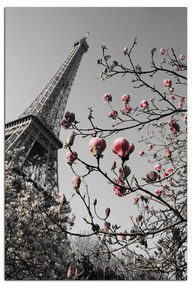 Obraz na plátne - Eiffelova veža v jarnom období - obdĺžnik 734ČA (100x70 cm)