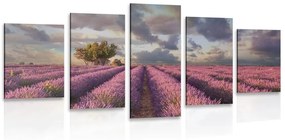 5-dielny obraz krajina levanduľových polí Varianta: 100x50