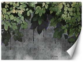 Gario Fototapeta Zelené listy na betónovom pozadí Materiál: Vliesová, Rozmery: 300 x 210 cm