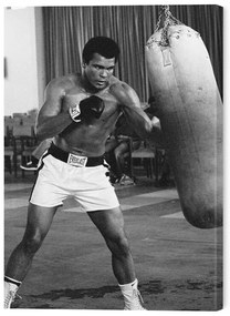 Obraz na plátne Muhammad Ali - Punch Bag, (60 x 80 cm)