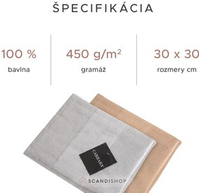 Sada uterákov CARRARA 30x30 cm svetlosivá 100% bavlna, 3 ks