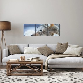 Obraz - Vlk (s hodinami) (90x30 cm)