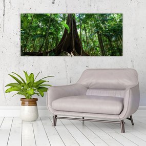 Obraz - Korene stromu (120x50 cm)