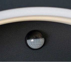 Brilagi - LED vonkajšie nástenné svietidlo so senzorom ARCELO LED/8W/230V IP54