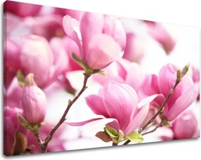 Obraz na stenu KVETY KV002E11 - 30x40 cm