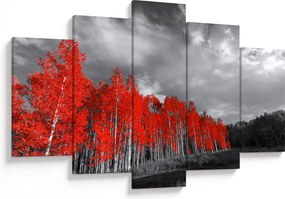 Obraz - Stromy vo farbe jesene (150x105 cm)