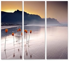 Obrazy v súprave 3 ks 20x50 cm – Wallity