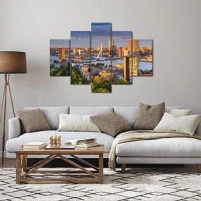 Obraz - Panorama Rotterdamu, Holandsko (150x105 cm)