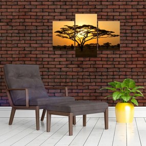 Obraz - Africká savana (90x60 cm)