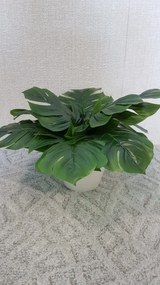 Umelá rastlina- Monstera