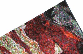 Spoltex koberce Liberec Kusový koberec Rust red 21304-910 - 80x150 cm