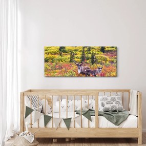 Obraz - Karibu na Aljaške (120x50 cm)