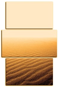 Obraz na plátne - Piesok v púšti - obdĺžnik 7127FC (105x70 cm)