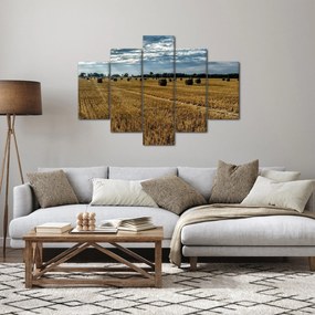Obraz zozbieraného obilného poľa (150x105 cm)