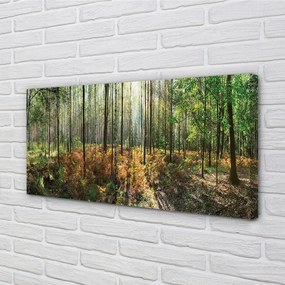 Obraz canvas les breza 140x70 cm