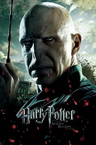 Umelecká tlač Voldemort, (26.7 x 40 cm)