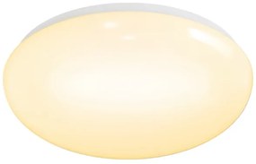 Aigostar - LED stropné svietidlo LED/12W/230V 3000K Ø 28 cm