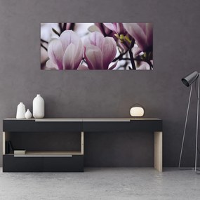 Obraz - Magnolie (120x50 cm)