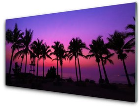 Obraz na akrylátovom skle Palmy stromy príroda 100x50 cm