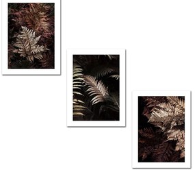 Súprava obrazov KAPRADINA 94 x 40 cm 3 kusy
