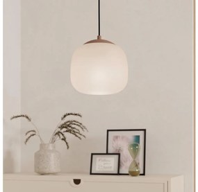 Eglo 900893 - Luster na lanku COMINIO 1xE27/40W/230V