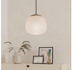 Eglo 900893 - Luster na lanku COMINIO 1xE27/40W/230V