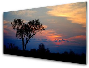 Obraz na akrylátovom skle Strom príroda 140x70 cm