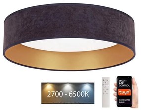 Brilagi - LED Stmievateľné svietidlo VELVET SMART LED/24W/230V Wi-Fi Tuya + DO