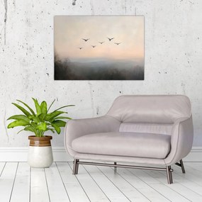 Obraz - Hejno vtákov (70x50 cm)