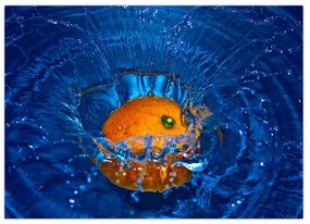 Obraz - pomaranč vo vode (70x50 cm)