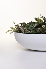 Okrasná miska PLANA, sklolaminát, 9xØ34 cm, biela