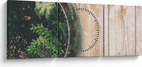 Obraz sukulentov v skle (s hodinami) (90x30 cm)