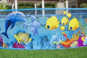 CH ZÁHRADNÝ BAZÉN 244 x 46 CM