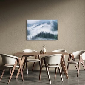 Obraz - Stromy v hmle (90x60 cm)