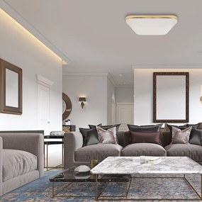 Stropné LED svietidlo Nemo, 1x LED 17w, 4000k, g