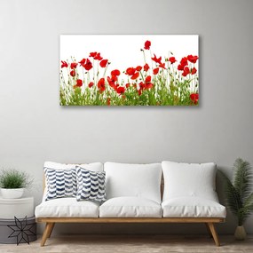 Obraz Canvas Lúka maky kvety príroda 120x60 cm