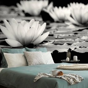 Fototapeta čiernobiely lotosový kvet - 150x100