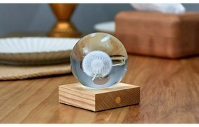 Tmavohnedá svetelná dekorácia na USB Amber – Gingko