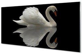 Nástenný panel  Swan v noci 100x50 cm