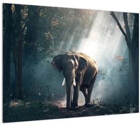 Sklenený obraz slona v džungli (70x50 cm)