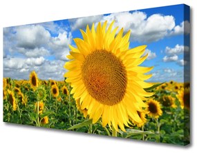 Obraz Canvas Slnečnica kvet rastlina 125x50 cm