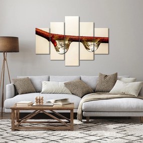 Obraz kvapiek na vetve (150x105 cm)