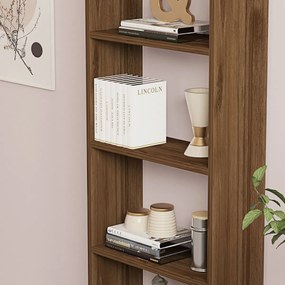 Knižnica New Walnut