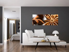 Obraz - Aníz (120x50 cm)