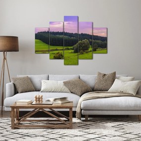 Obraz lúky (150x105 cm)