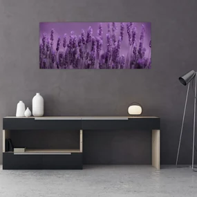Obraz - Levanduľa (120x50 cm)